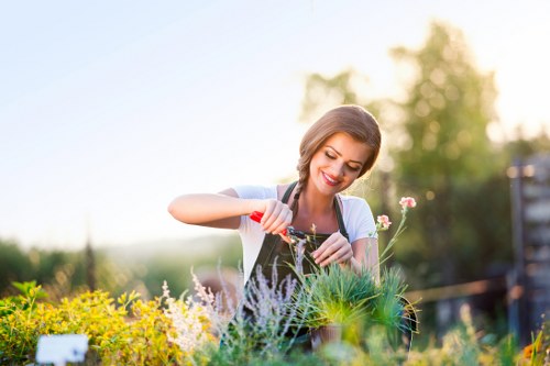 Choosing the right shed style for a garden in Hatchend