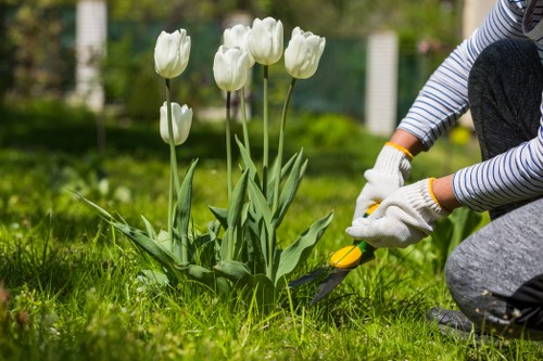 Mowing and watering routine for lawn care in Hatchend residential garden