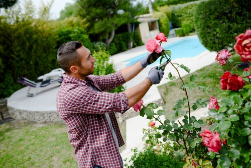 Landscape gardeners designing a stylish Hatchend garden