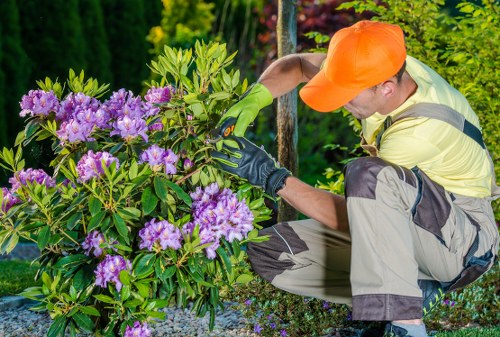 Accessible Landscapers Hatchend website illustration for inclusive browsing