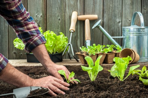 Landscapers Hatchend website cookie policy illustration