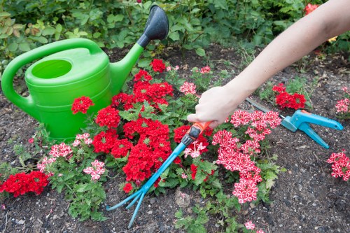 Supplier audit and labour compliance review in landscaping