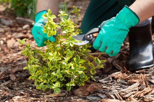 Fresh planting and soft landscaping in a Hatchend garden