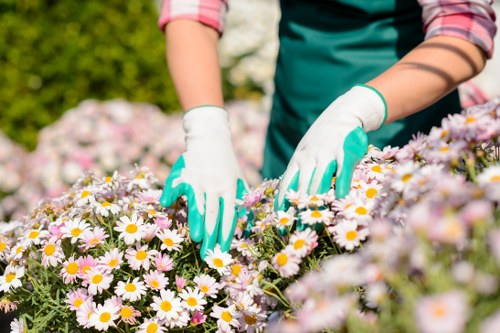 Local landscapers in Hatchend planning a garden design