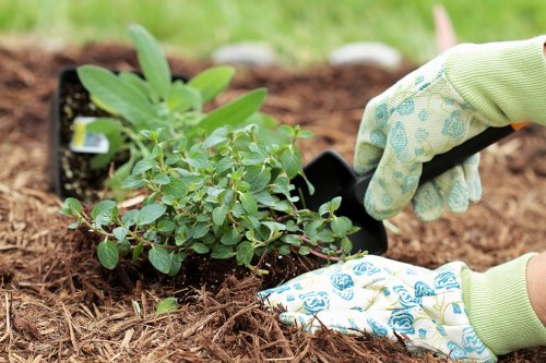 Garden renovation planning for a Hatchend home with improved borders and pathways