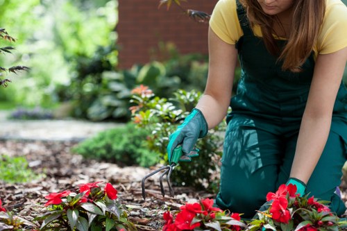 Public liability insurance and safe waste handling for Hatchend landscapers