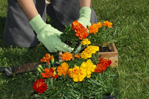 Customer complaint form for landscaping service issues