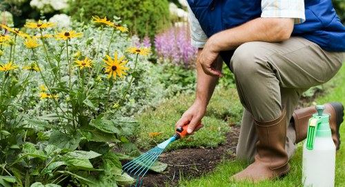 Inclusive online experience for local Hatchend landscaping visitors