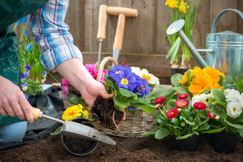 Accessibility request support for Landscapers Hatchend website users