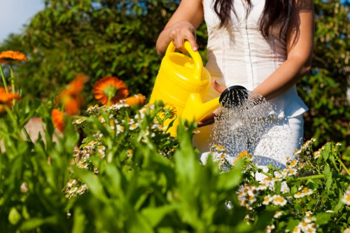 Regular garden maintenance and lawn mowing in Hatchend