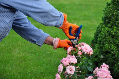 Seasonal planting services in Hatchend for a vibrant outdoor space