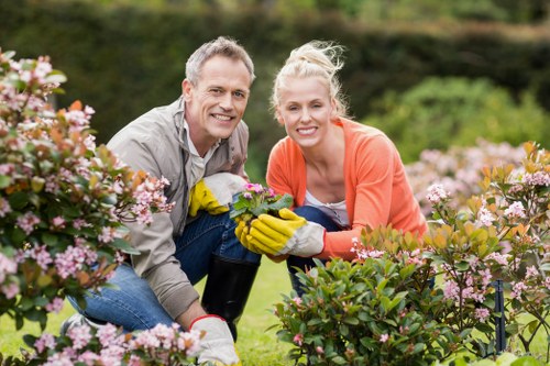 Professional hedge trimming in Hatchend improving garden boundaries